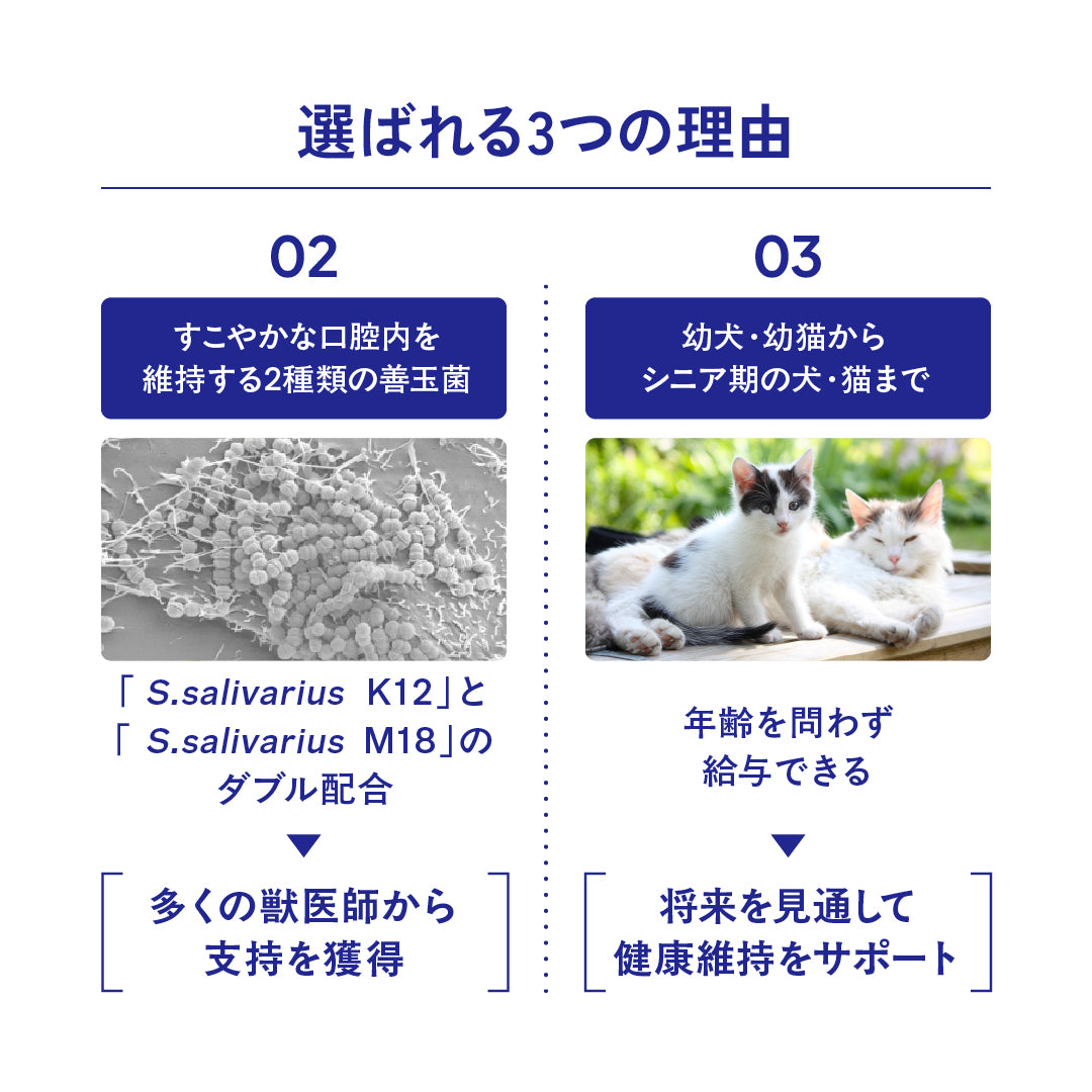 デンタルBio(デンタルビオ)60粒【犬・猫用】