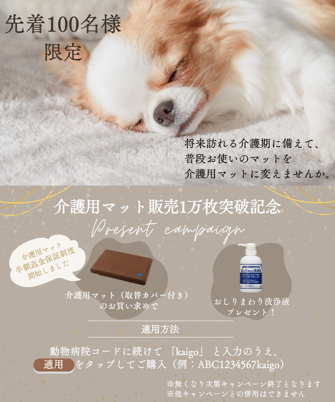 フレキサディンアドバンス 犬用 30粒×2袋【賞味期限:2026.02 フレキサディンアドバンス 犬用 30粒×2袋【賞味期限:2026.02