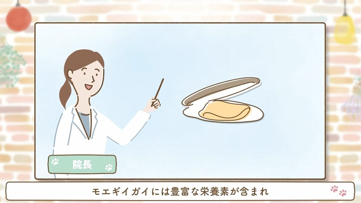 動画サムネイル