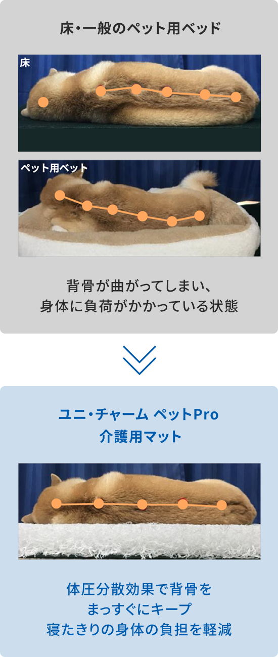 介護用マット|ユニ・チャームペットPro|KS Online 共立製薬公式 介護用マット|ユニ・チャームペットPro|KS Online 共立製薬公式