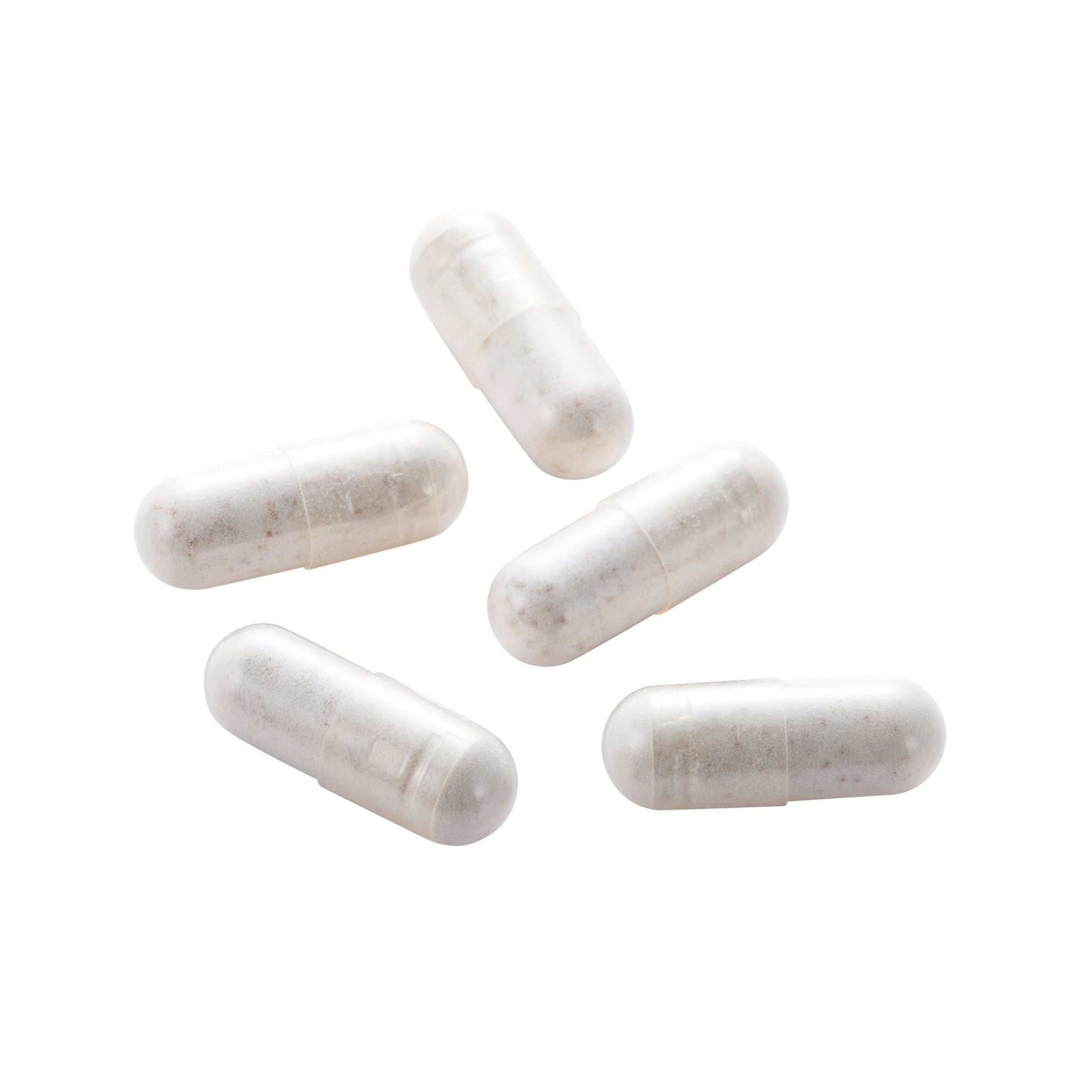 初回限定半額キャンペーン用】マイトマックス・スーパー サーモン